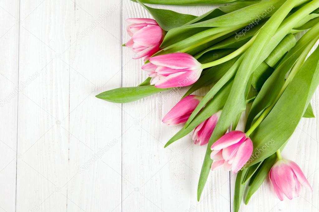 Beautiful tulips on white wood background