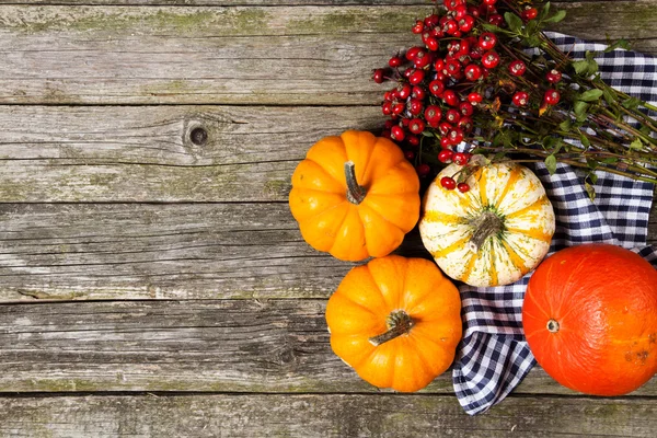 Colorful pumpkins on old wood — Stock Photo, Image