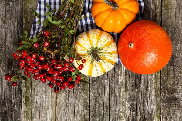 Colorful pumpkins on old wood — Stock Photo, Image