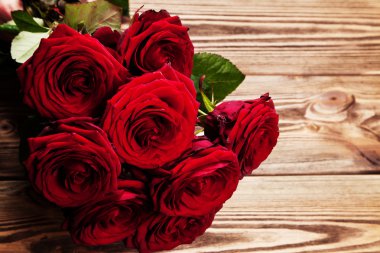 güzel kırmızı gül