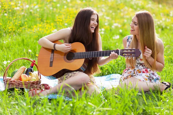 Twee mooie jonge vrouwen op een picknick — Stockfoto