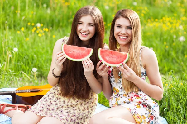 Dos hermosas mujeres jóvenes en un picnic — Foto de Stock