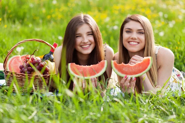 Två vackra unga kvinnor på picknick — Stockfoto