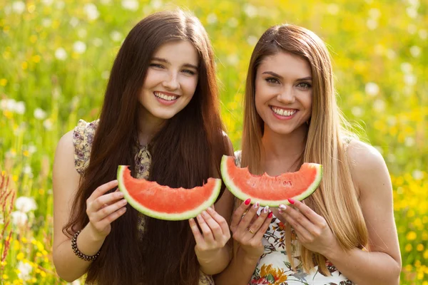 Two beautiful young women on a picnic — Stock Photo, Image