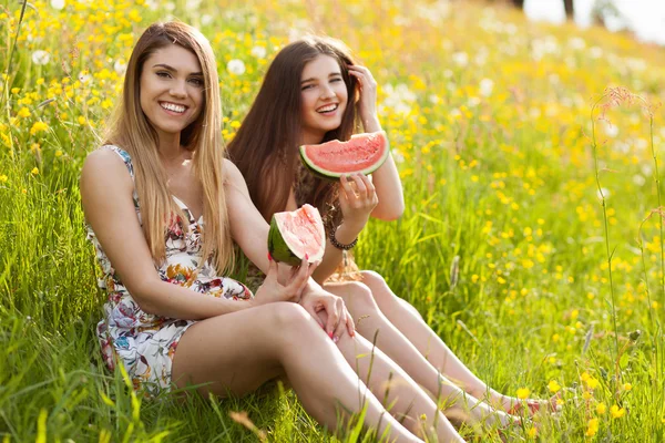 Две красивые девушки на пикнике — стоковое фото