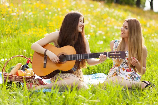 Twee mooie jonge vrouwen op een picknick — Stock fotografie
