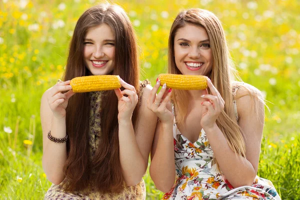 Zwei schöne junge Frauen auf einem Picknick — Stockfoto