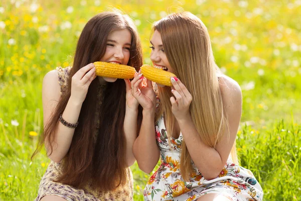 Twee mooie jonge vrouwen op een picknick — Stockfoto