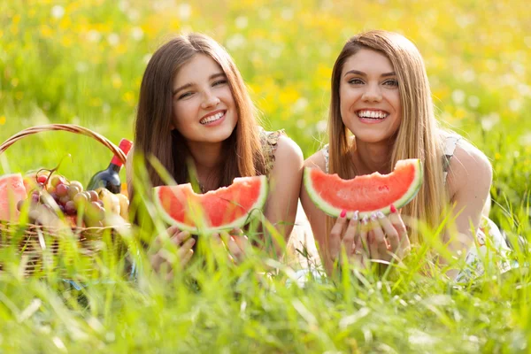 Twee mooie jonge vrouwen op een picknick — Stockfoto