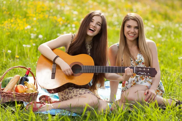 Twee mooie jonge vrouwen op een picknick — Stockfoto