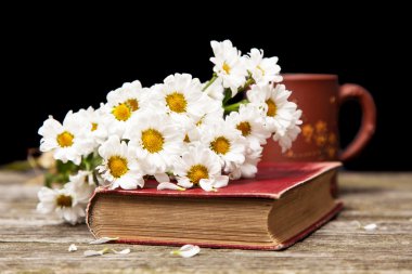 Kahve, papatya ve bir kitap