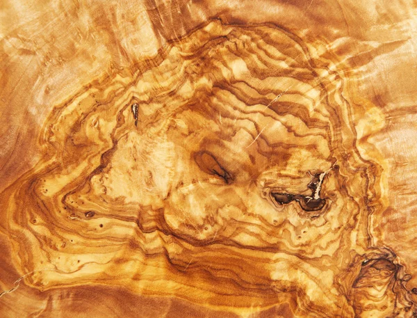 Olivové dřevo textury — Stock fotografie