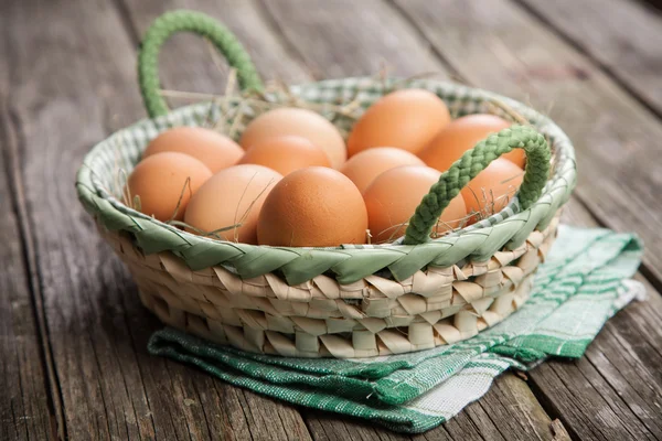 Frische Bio-Eier — Stockfoto