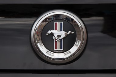 Mustang yarış başlangıç Wroclaw, Polonya