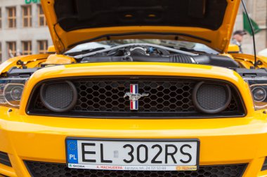 Mustang yarış başlangıç Wroclaw, Polonya