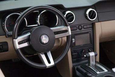 Mustang yarış başlangıç Wroclaw, Polonya