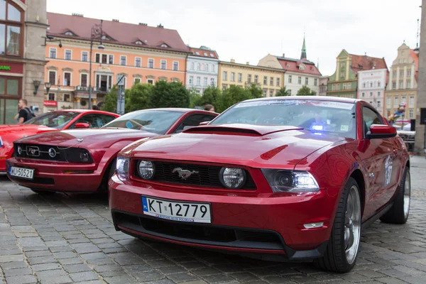 Mustang Race start in Wroclaw, Polen — Stockfoto