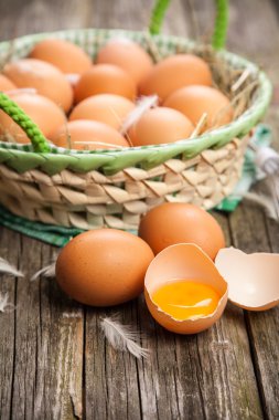 taze organik yumurta