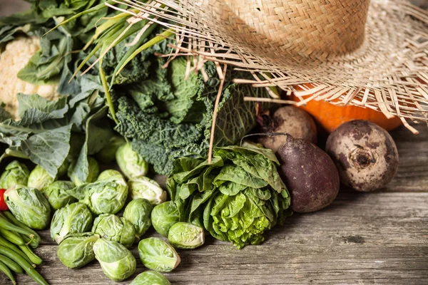 Sortimento de vegetais verdes — Fotografia de Stock