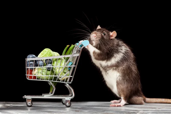 Topo carino con un carrello della spesa — Foto Stock