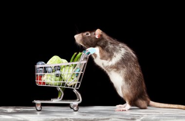 Bir alışveriş sepeti ile sevimli fare