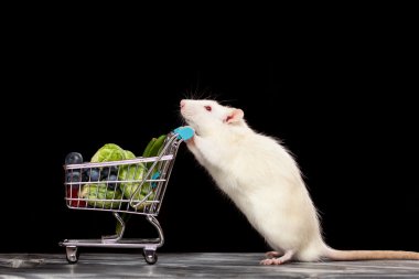 Bir alışveriş sepeti ile sevimli fare