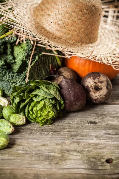 Assortment of green vegetables — Stock Photo, Image