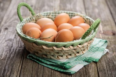 taze organik yumurta