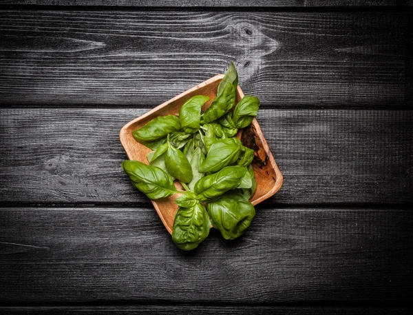 Basil leaves — Stock Photo, Image