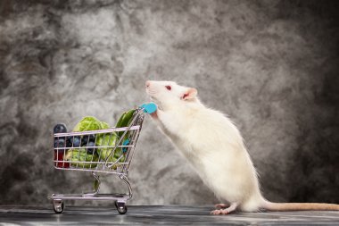 Bir alışveriş sepeti ile sevimli fare