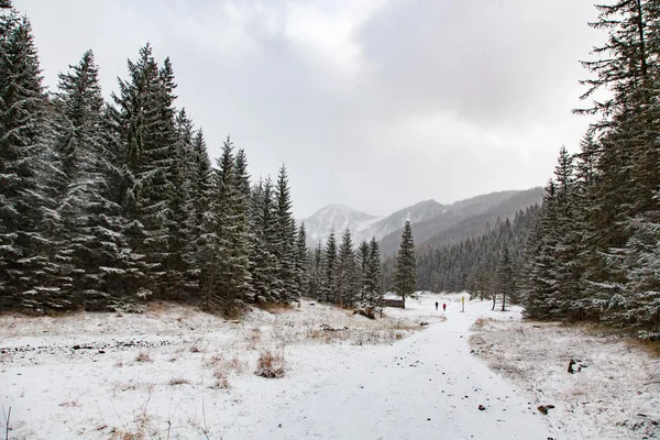 Χειμώνας στα βουνά — Φωτογραφία Αρχείου