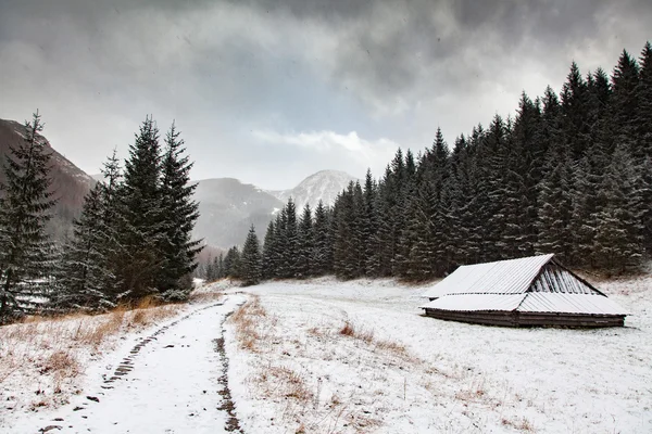 Winter in de bergen — Stockfoto