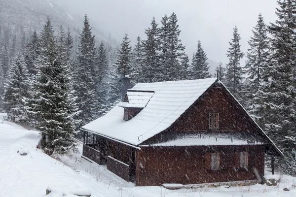 Winter in de bergen — Stockfoto