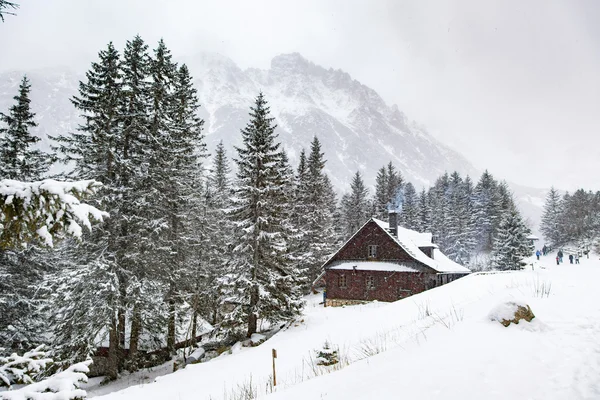 Winter in de bergen — Stockfoto