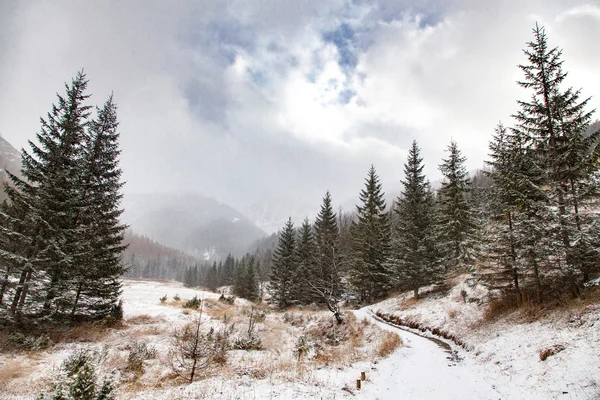 Winter in de bergen — Stockfoto