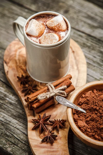 Kakaový nápoj s marshmallows — Stock fotografie