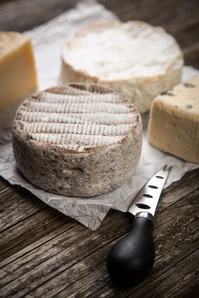 Formaggio francese morbido — Foto Stock