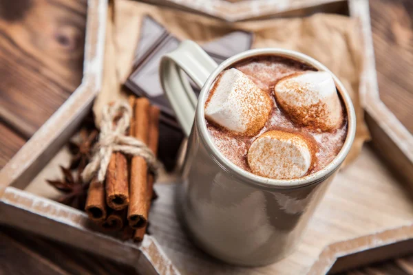 Kakaový nápoj s marshmallows — Stock fotografie