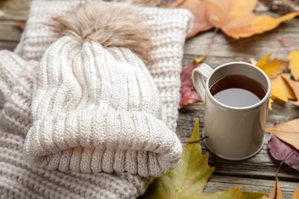 Teplé oblečení a šálek čaje — Stock fotografie