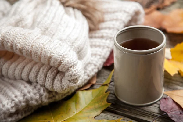 Ciepłe ubranie i filiżankę herbaty — Zdjęcie stockowe