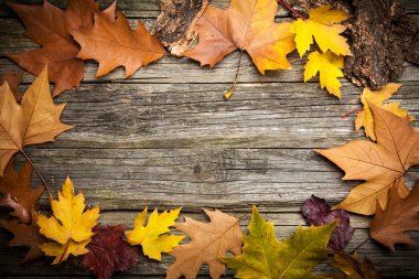 Sıcak giysiler ve bir fincan çay