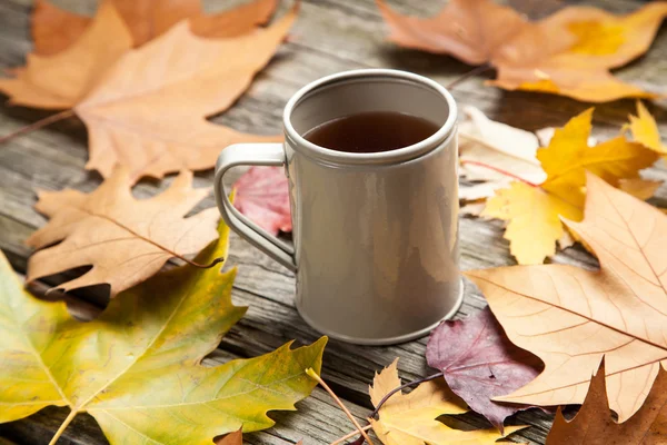 Taza de té caliente —  Fotos de Stock