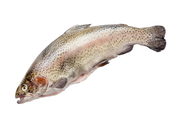 Fatias de filé de salmão — Fotografia de Stock