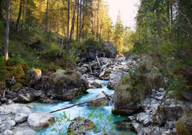 Nehirde kayalarla temiz su