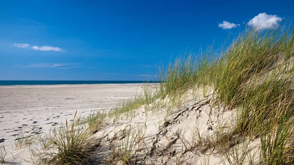 Mooie Deense Kustlijn Zomer — Stockfoto