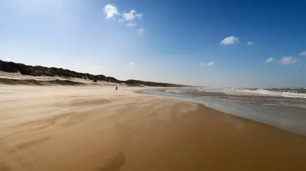 Danimarka Nın Kuzey Denizindeki Kumsal — Stok fotoğraf