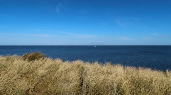 Landschap Met Rustig Water Bij Ringkobing Fjord Denemarken — Stockfoto