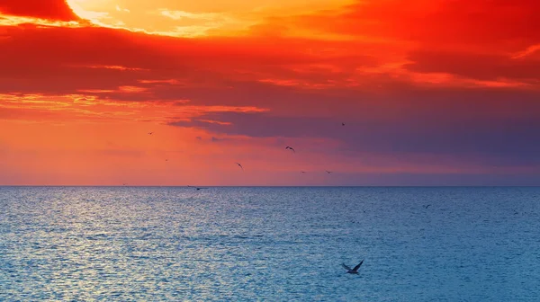 Schöner Sonnenuntergang Über Dem Ozean — Stockfoto