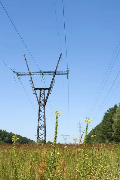 Hochspannungsleitung — Stockfoto