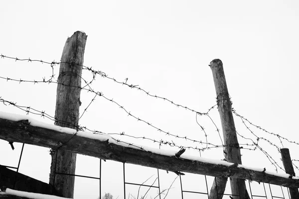 Szögesdrót és kerítés — Stock Fotó